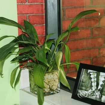 重庆悠悠千寻空中江景青年旅舍洪崖洞店酒店提供图片