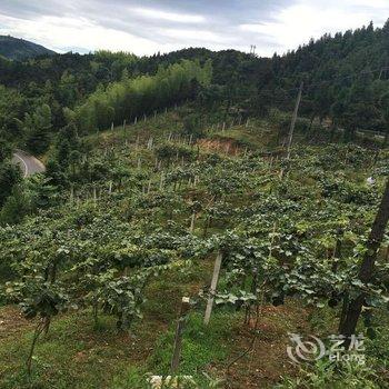 天台仙竹农家酒店提供图片