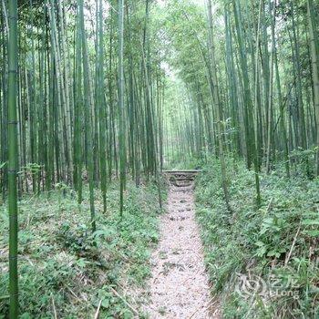 莫干山静山居民宿酒店提供图片