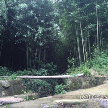 莫干山静山居民宿酒店提供图片