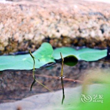 婺源鳙源居臻品民宿酒店提供图片