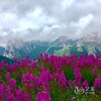 碌曲秘境郎木客栈酒店提供图片