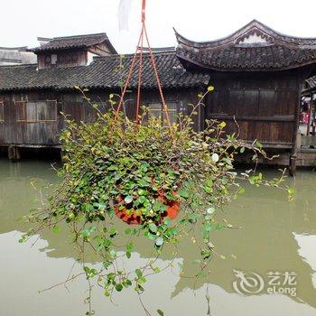 桐乡乌镇水木年华民宿酒店提供图片