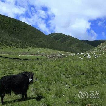 共和尚客优连锁酒店青海湖店酒店提供图片