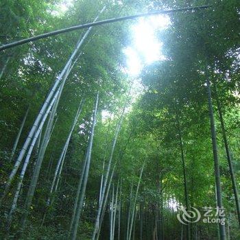 天柱山农清雅舍酒店提供图片