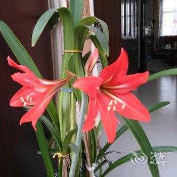 平遥古城老兵之家酒店提供图片