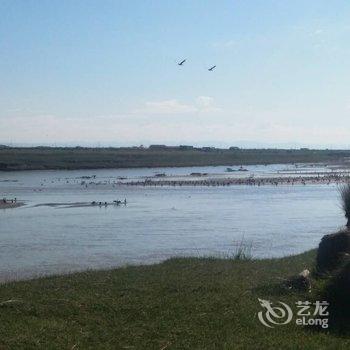 青海湖鸟岛度假村酒店提供图片