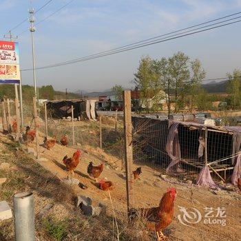 庄河万隆宾馆酒店提供图片