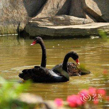 日照东港蓝天海景国际度假公寓酒店提供图片