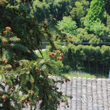 莫干山竹清居山庄酒店提供图片