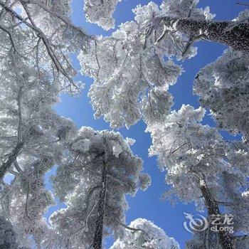 黄山醉青春客栈酒店提供图片