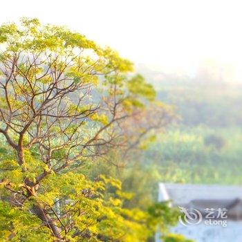 ������޵�ˮ�ڷ�������ջ�Ƶ��ṩͼƬ