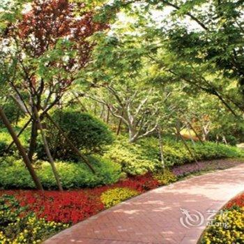 青岛金沙滩假日家庭公寓酒店提供图片