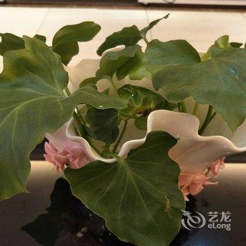 青岛金沙滩假日家庭公寓酒店提供图片