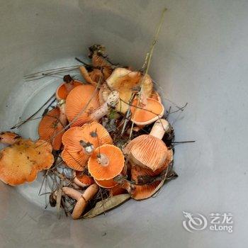 张家界好来屋客栈酒店提供图片