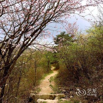 浙西大峡谷祥云山庄酒店提供图片