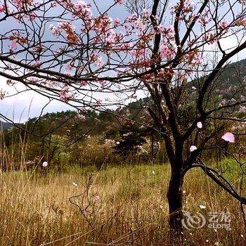 浙西大峡谷祥云山庄酒店提供图片