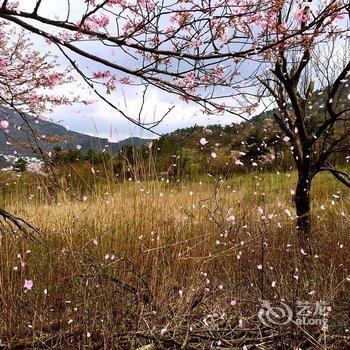 浙西大峡谷祥云山庄酒店提供图片