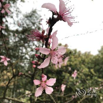 永嘉乡约时光民宿酒店提供图片