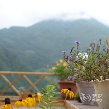 海螺沟哈姆青年旅舍酒店提供图片