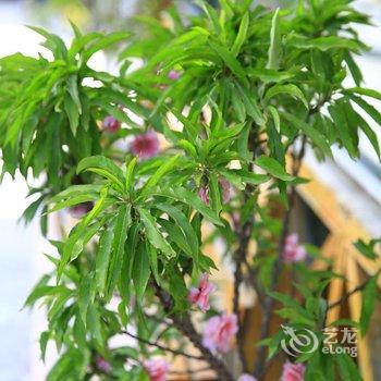 四姑娘山三生三世十里桃花客栈酒店提供图片