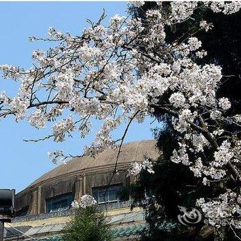 早安花容酒店(武汉大学店)酒店提供图片