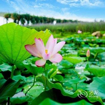 盐城梦幻迷宫度假酒店(原迷宫庄园)酒店提供图片