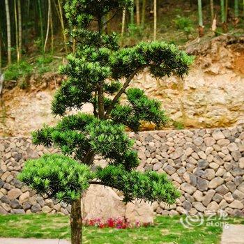 莫干山隐仙山居酒店提供图片