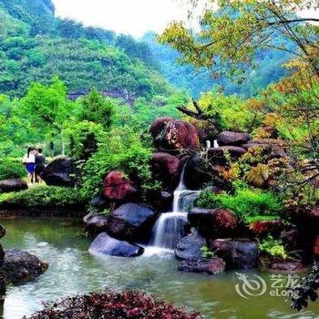 武夷山九龙湾滨溪别墅酒店酒店提供图片