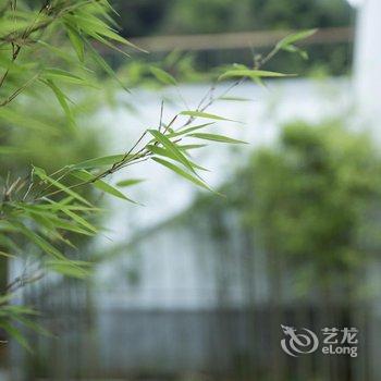 千岛湖茂山·青田野酒店提供图片