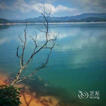 从化流溪河国家森林公园酒店酒店提供图片