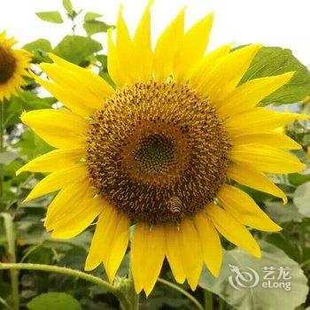 从化流溪河国家森林公园酒店酒店提供图片