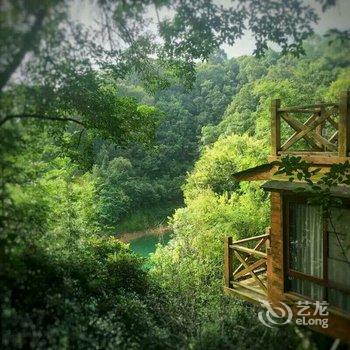 从化流溪河国家森林公园酒店酒店提供图片