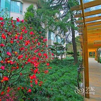 上海奥林匹克俱乐部酒店提供图片