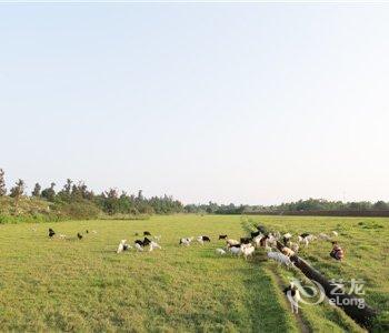 北海涠洲岛日出海岸度假村酒店提供图片