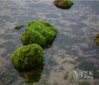 北海涠洲岛日出海岸度假村酒店提供图片