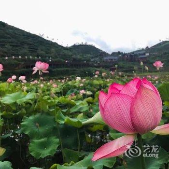 三明大田茶天下客栈酒店提供图片