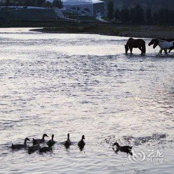 涞水神马时代客栈酒店提供图片