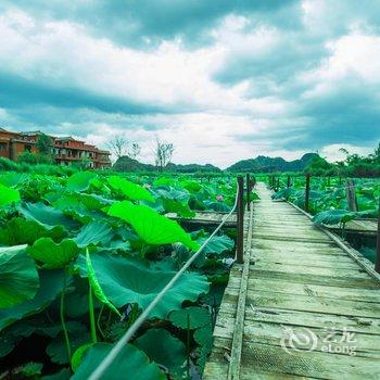 云南普者黑临湖山庄酒店提供图片