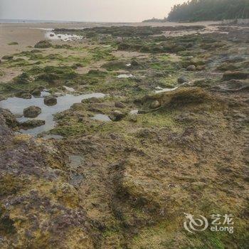 北海涠洲岛海心沙客栈(原树语听风沙滩旅馆)酒店提供图片