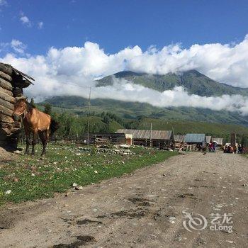 阿勒泰禾木景区归来村舍酒店提供图片