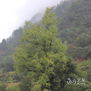 三清山一山一舍客栈酒店提供图片