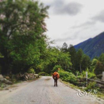 林芝康布美朵庄园酒店提供图片