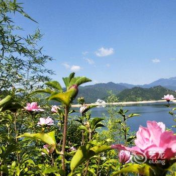 云和紧水滩龙门绿水山庄酒店提供图片