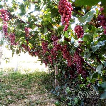 敦煌甘家大院客栈(莫高窟店)酒店提供图片
