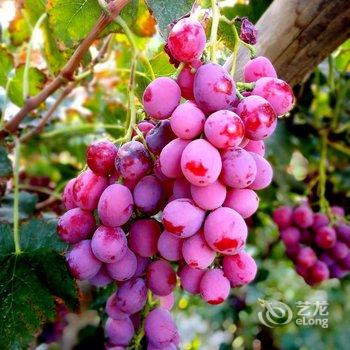 敦煌甘家大院客栈(莫高窟店)酒店提供图片