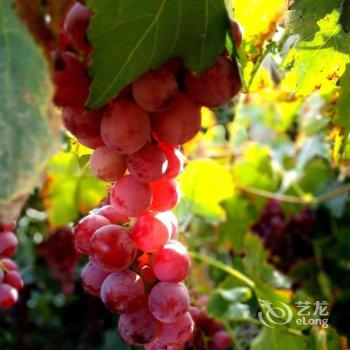 敦煌甘家大院客栈(莫高窟店)酒店提供图片