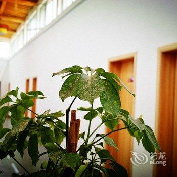敦煌甘家大院客栈(莫高窟店)酒店提供图片