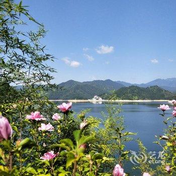 云和紧水滩龙门绿水山庄酒店提供图片