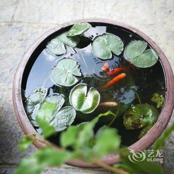 遵义恒景木屋民宿客栈酒店提供图片